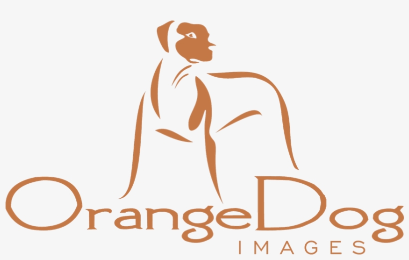 Illustration, transparent png