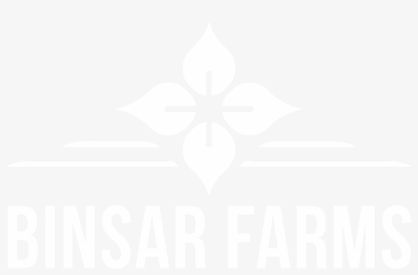 Fc Juárez, transparent png