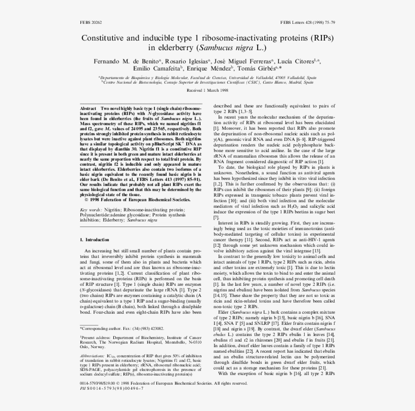 Pdf - Discovery Of Achilles On Skyros, transparent png