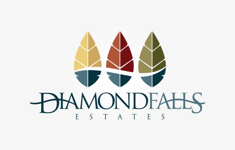 Logo Diamond-falls - Surfing, transparent png