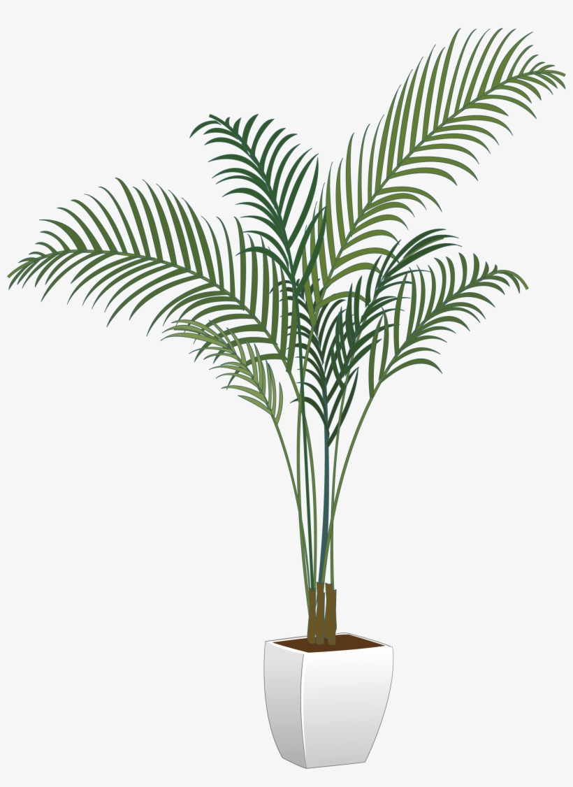 Plants Houseplant Flowerpot Arecaceae Vector Green - Transparent Potted Tree Png, transparent png