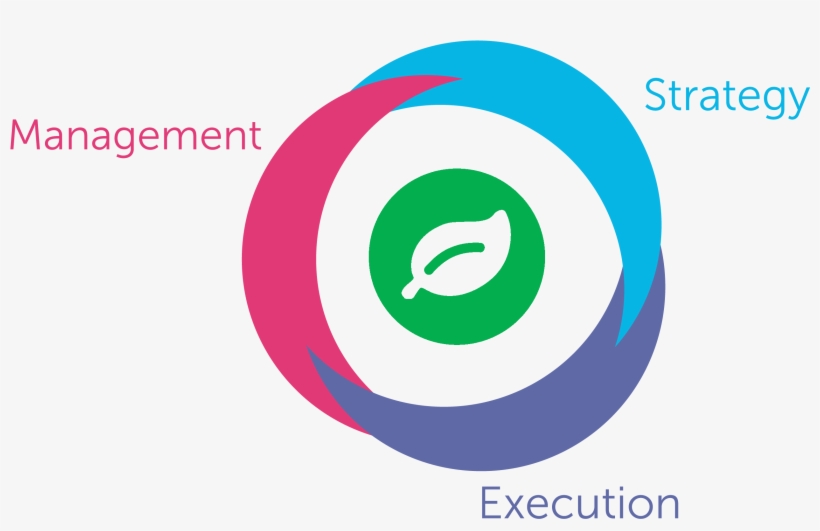 Rainforest Qa Product Structure - Loulou Et Autres Loups, transparent png