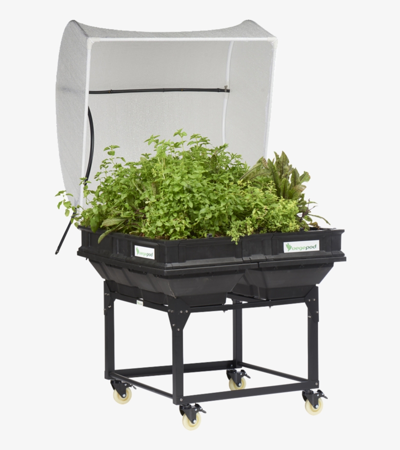 Image - Raised-bed Gardening, transparent png