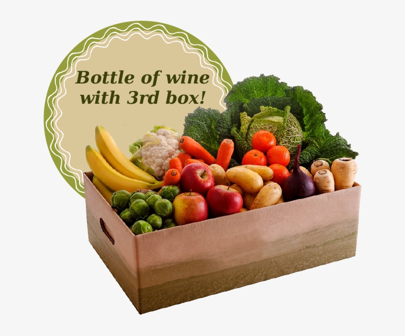 As We Feel So Good About This, You Will Receive A Free - Cruciferous Vegetables, transparent png