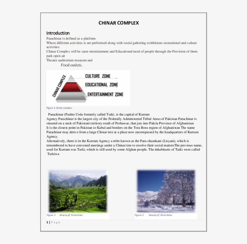 Pdf - Tree, transparent png