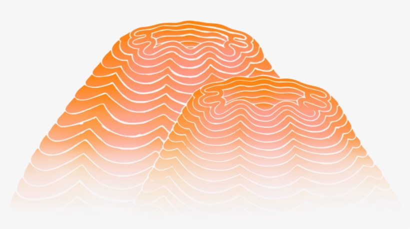 Magic-mountain - Spider Web, transparent png
