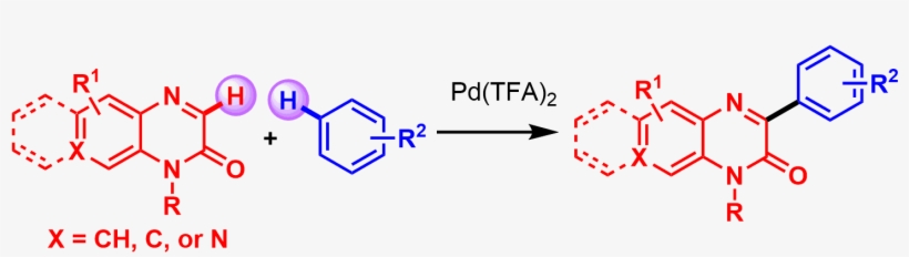 Jebakumar Immanuel Edison, Thomas Nesakumar - Acid Hydrolysis Of Lidocaine, transparent png