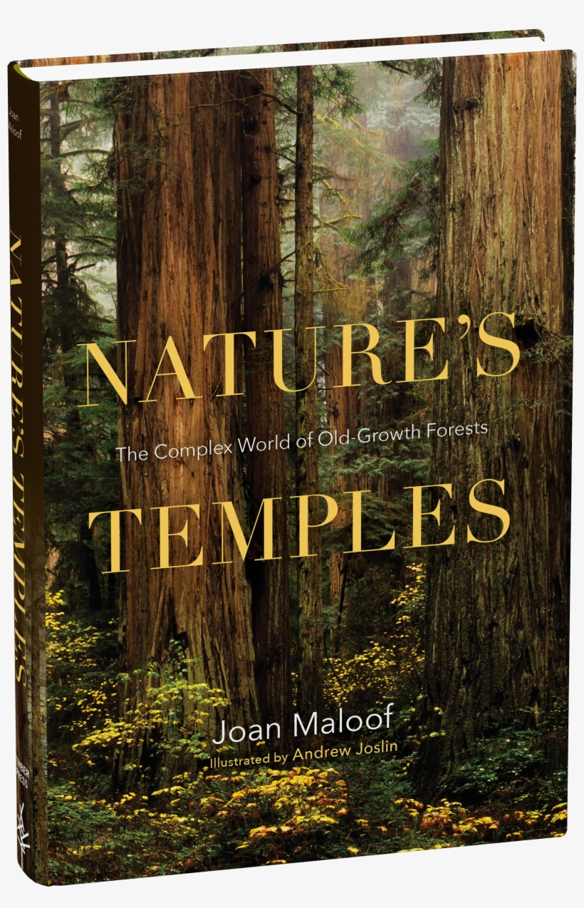 Nature's Temples, transparent png