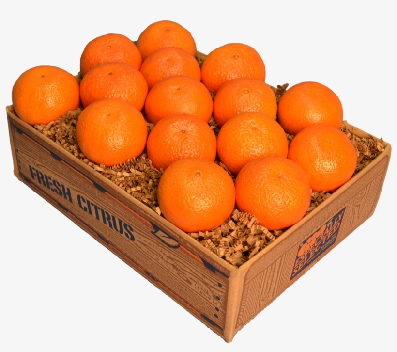 Temple Oranges - Tangerine, transparent png