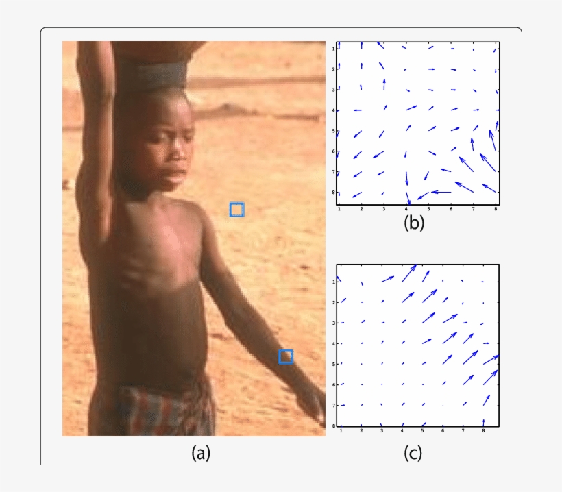 Inverse Variance Of The Weighted Gradient Orientation - Barechested, transparent png