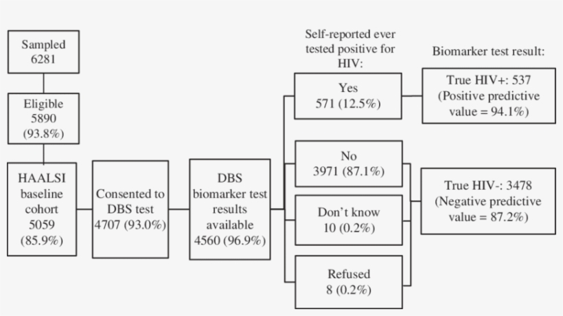 Haalsi Baseline Survey Responses To Dried Bloodspot - Diagram, transparent png