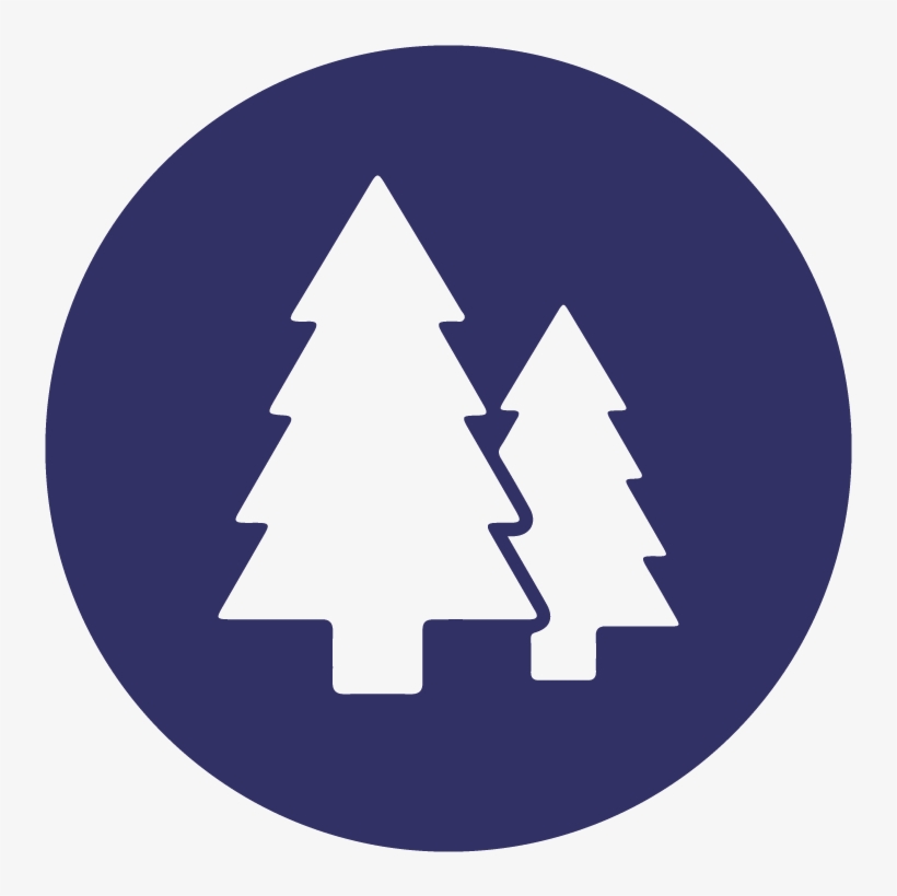 Trees - Circle, transparent png