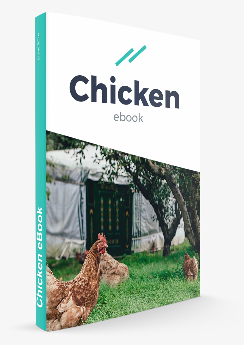 Act2 Chicken Ebook - Ruffed Grouse, transparent png