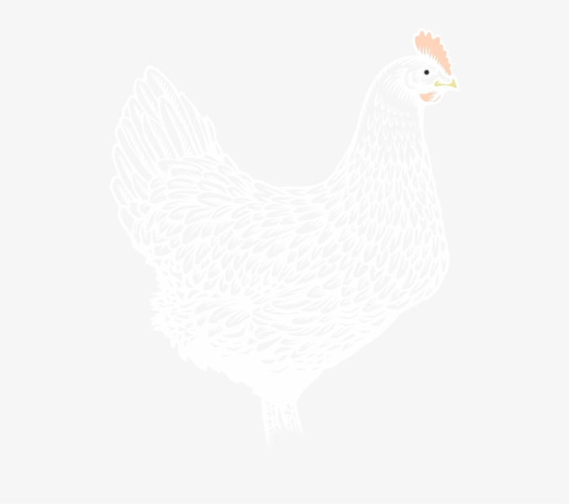 Image Of Chicken - Rooster, transparent png