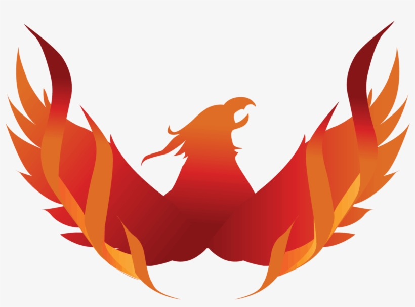 Free 12 Week Program - Eagle, transparent png