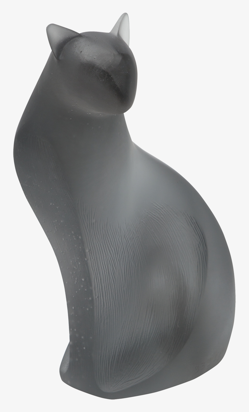Chat Gris 375 Exemplaires 05304, transparent png