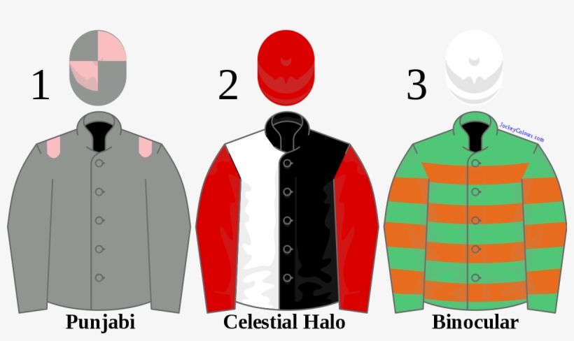 2009 Champion Hurdle - Cardigan, transparent png