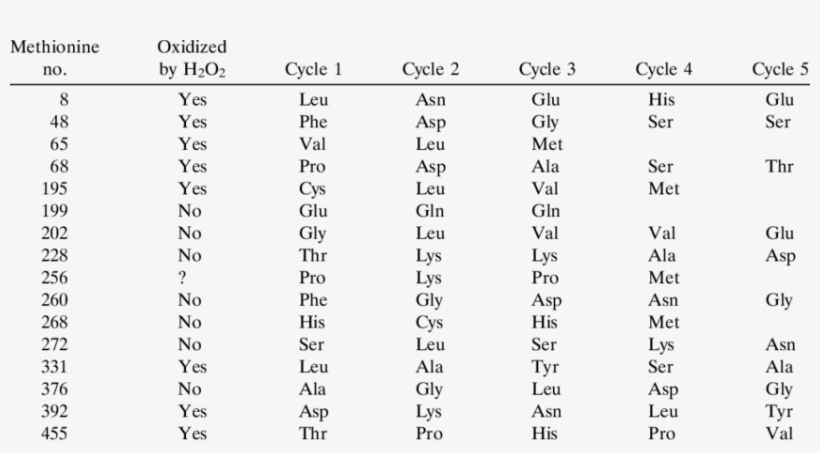 Susceptibility Of Methionine Residues In Glutamine - Fatty Acid, transparent png