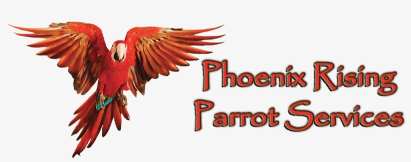 Toshiba 3d Tv, transparent png