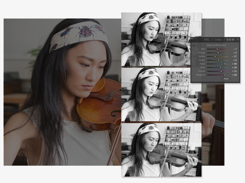 View Larger - Adobe Lightroom, transparent png