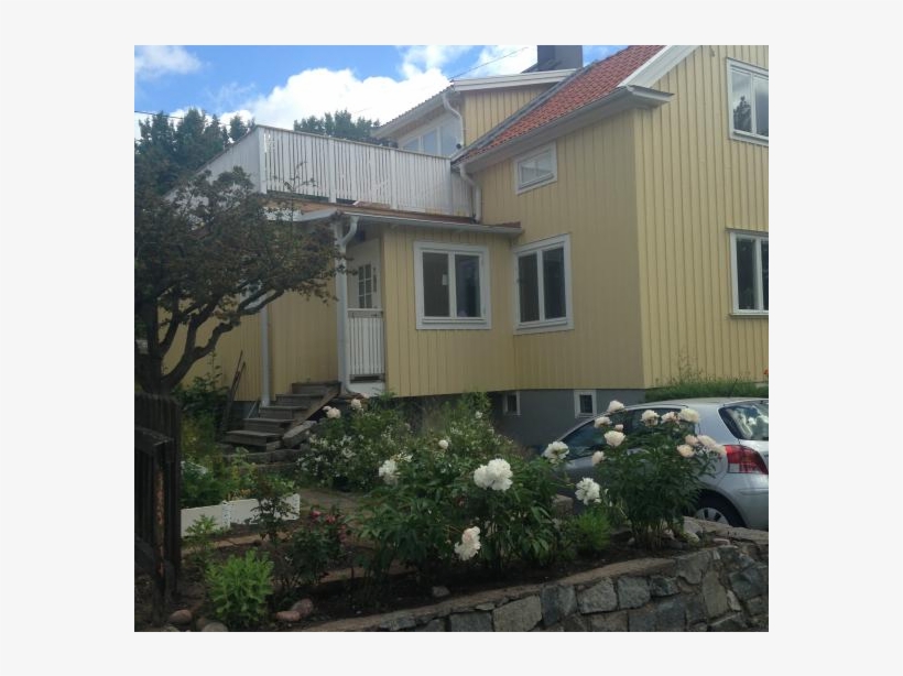 Amazing Stockholm 4 11 August 18 - Flower, transparent png