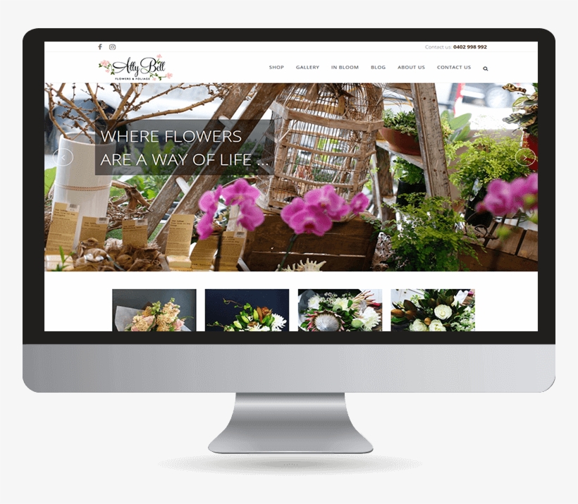 Ally Bell - Japanese Camellia, transparent png