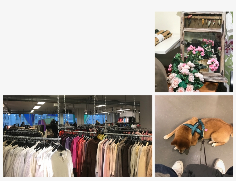 The Army Shop // Broadway And Sons - Boutique, transparent png