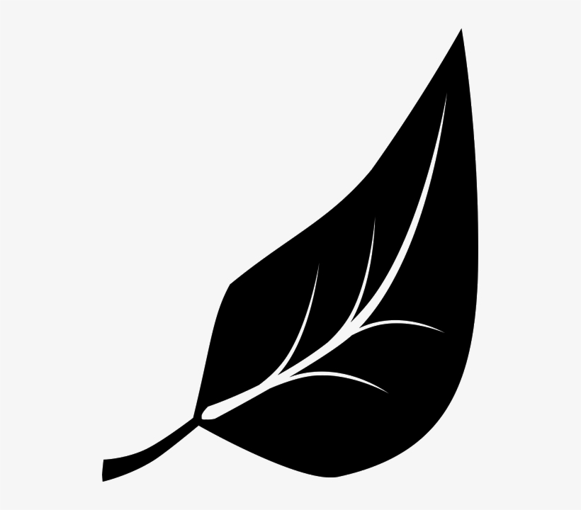 Leaf Leaves, Free Logo, Letterhead, Logos, Lettering,, transparent png