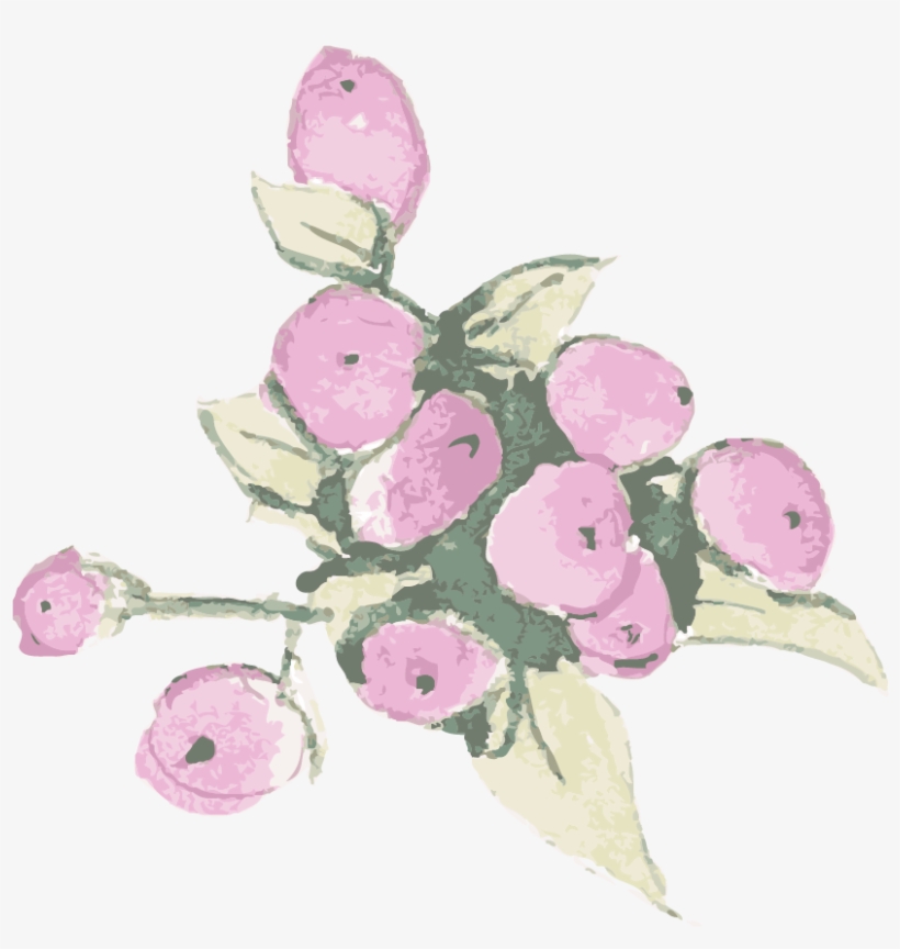 Bunch - Garden Roses, transparent png