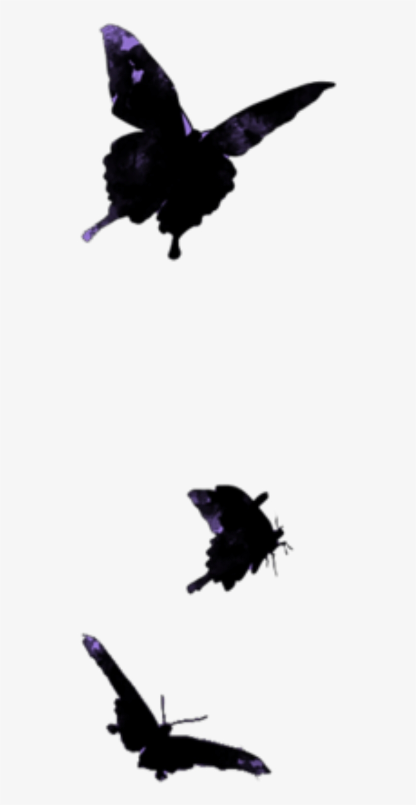 Mq Butterflys Black Butterfly Flying Png Png Flying - Flight, transparent png