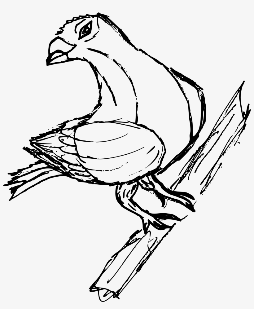 Free Download - Sketch, transparent png