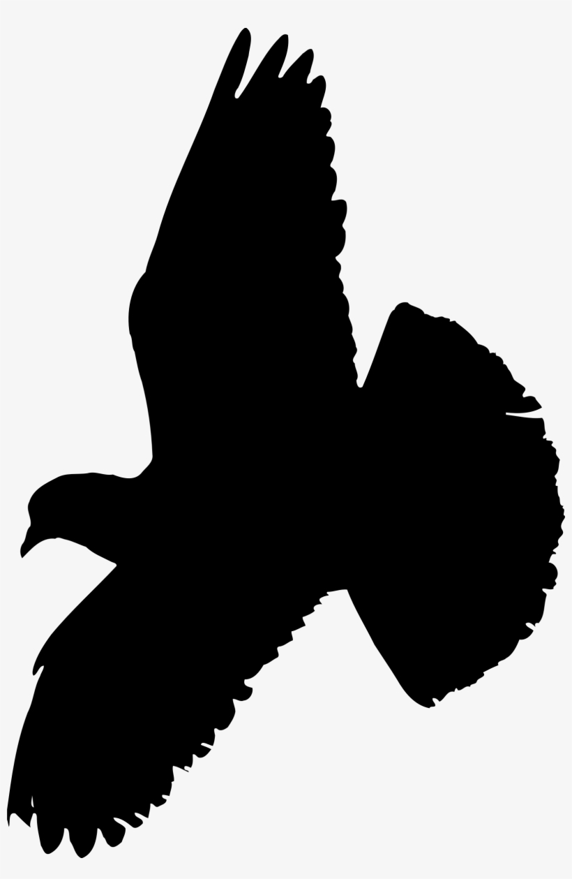 This Free Icons Png Design Of Pigeon, transparent png