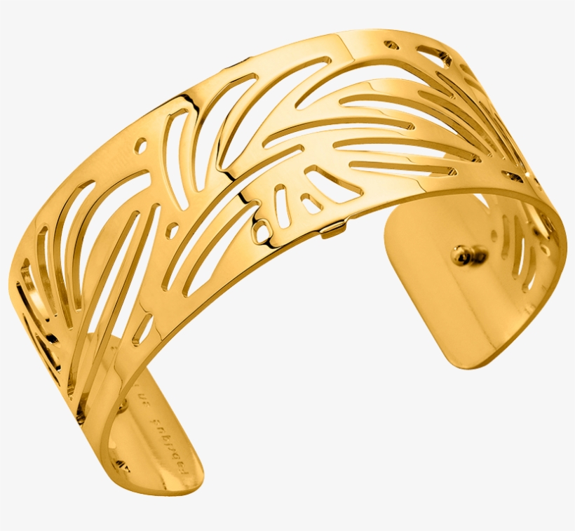 Aloe Les Georgettes Bracelet, transparent png