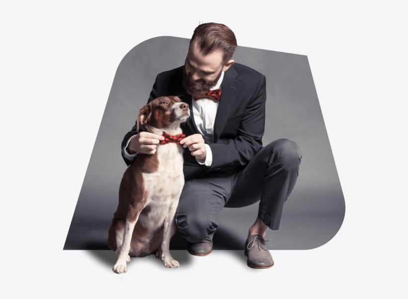 Jake And Roscoe - Companion Dog, transparent png