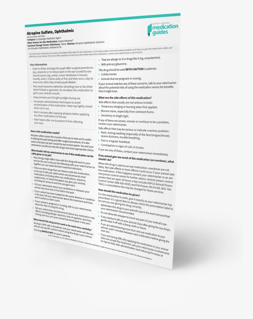 Easy To Print Medication Guides For Pet Owners - Paper, transparent png