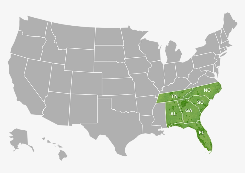 Alma's Food Publix State Map - Crna Opt Out States 2017, transparent png