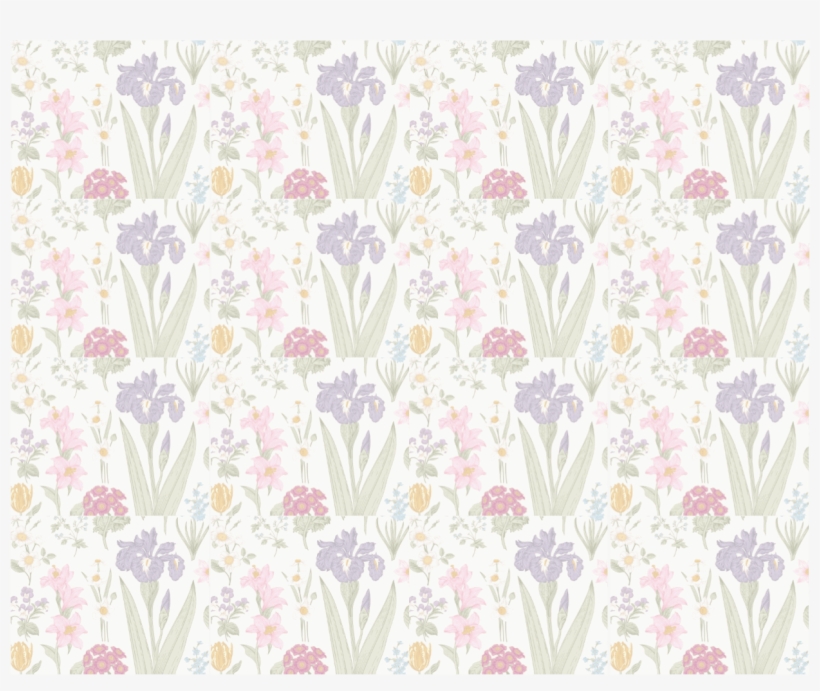 Background - Wallpaper, transparent png