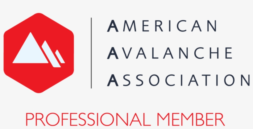 Aaa Logo Pro Member - American Avalanche Association, transparent png