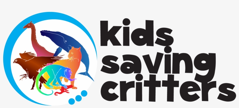 Graphic Design, transparent png