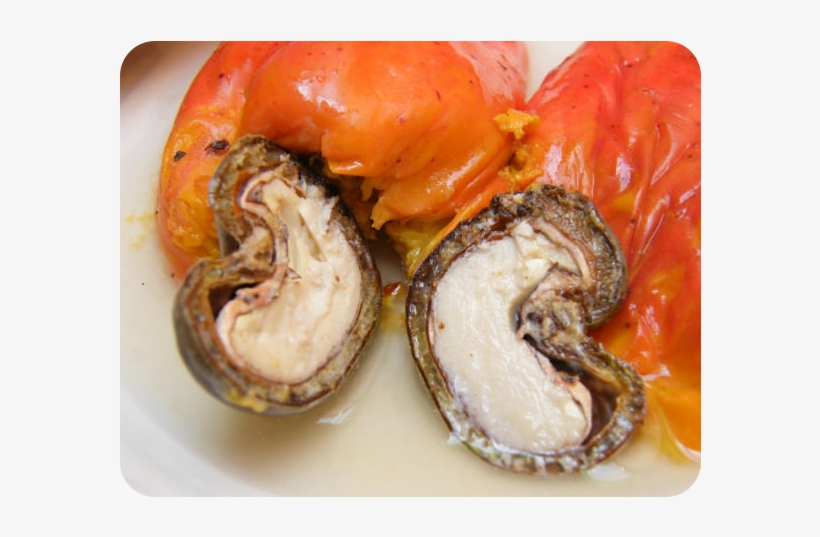 Cashew Nut Shell Oil - Cuisine Of Madrid, transparent png