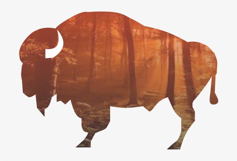 Vector File Download - Bison, transparent png