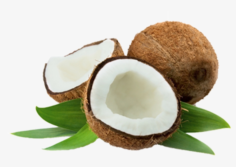 Coconut Thenarasu - Coconut, transparent png