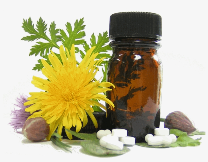 Homeopathy Is Based On These Principles - Electro Homeopathy, transparent png