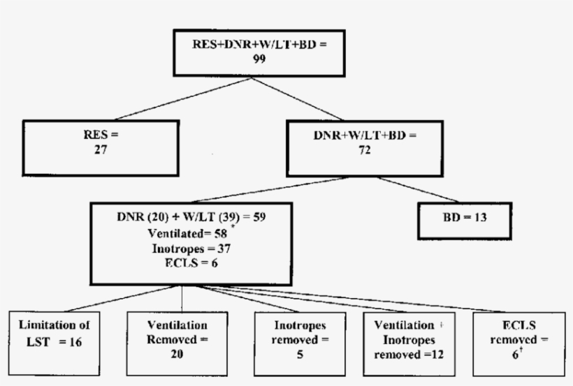 Download - Diagram, transparent png