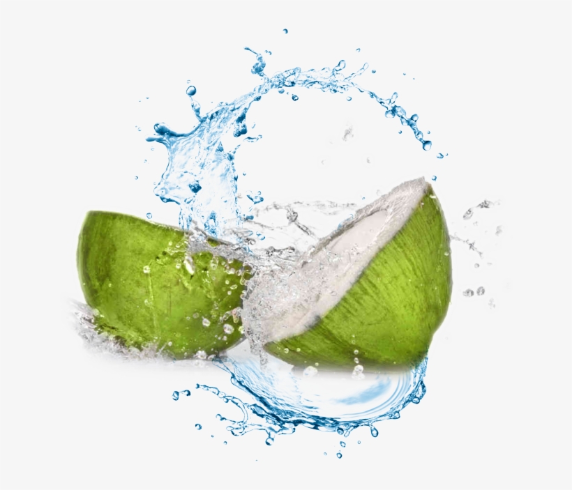 Coconut Water Transparent Background, transparent png