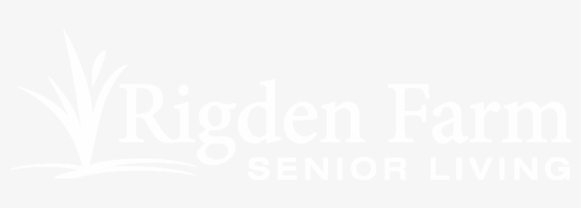 Graphic Design, transparent png