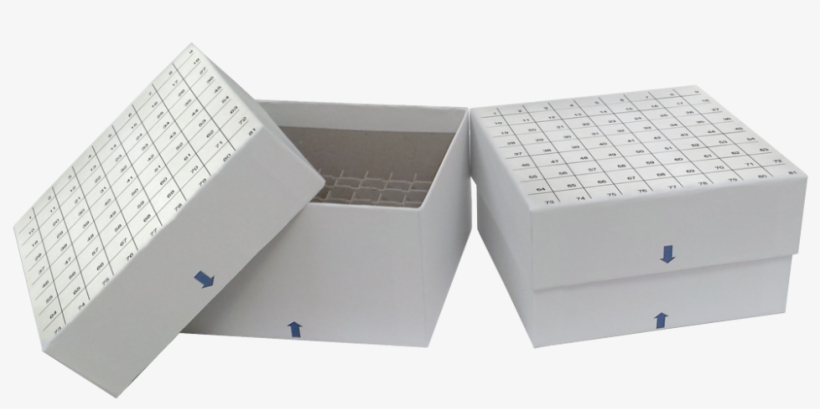 Standard White ” Fiberboard Boxes With Grid Lines And - Architecture, transparent png