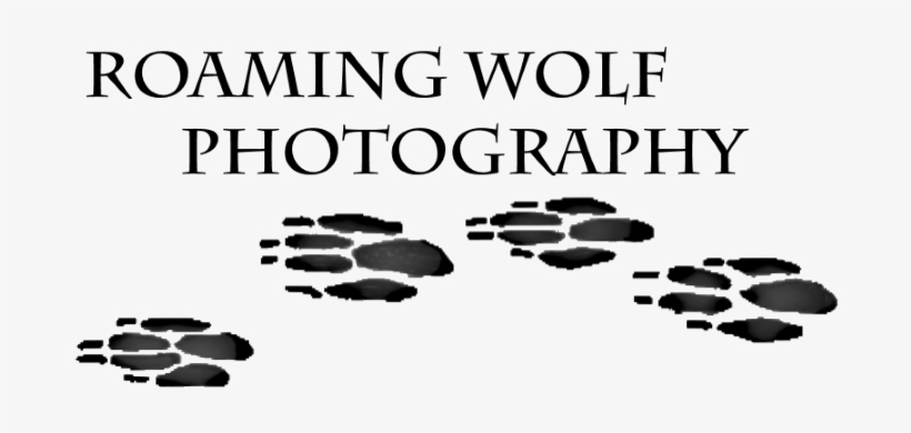 Kevin Farrell Photography, transparent png