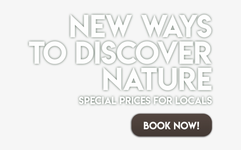 Akumal Monkey Sanctuary & Rescued Animals - Parallel, transparent png