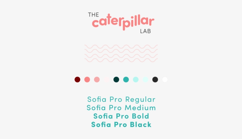 The Caterpillar Lab - Graphics, transparent png